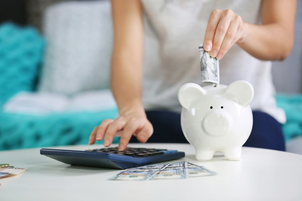 savings on a piggy bank