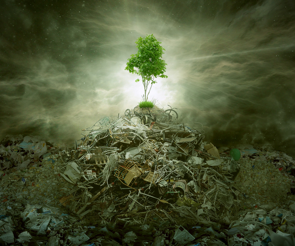 Tree on top of garbage pile showing survival in sustainability