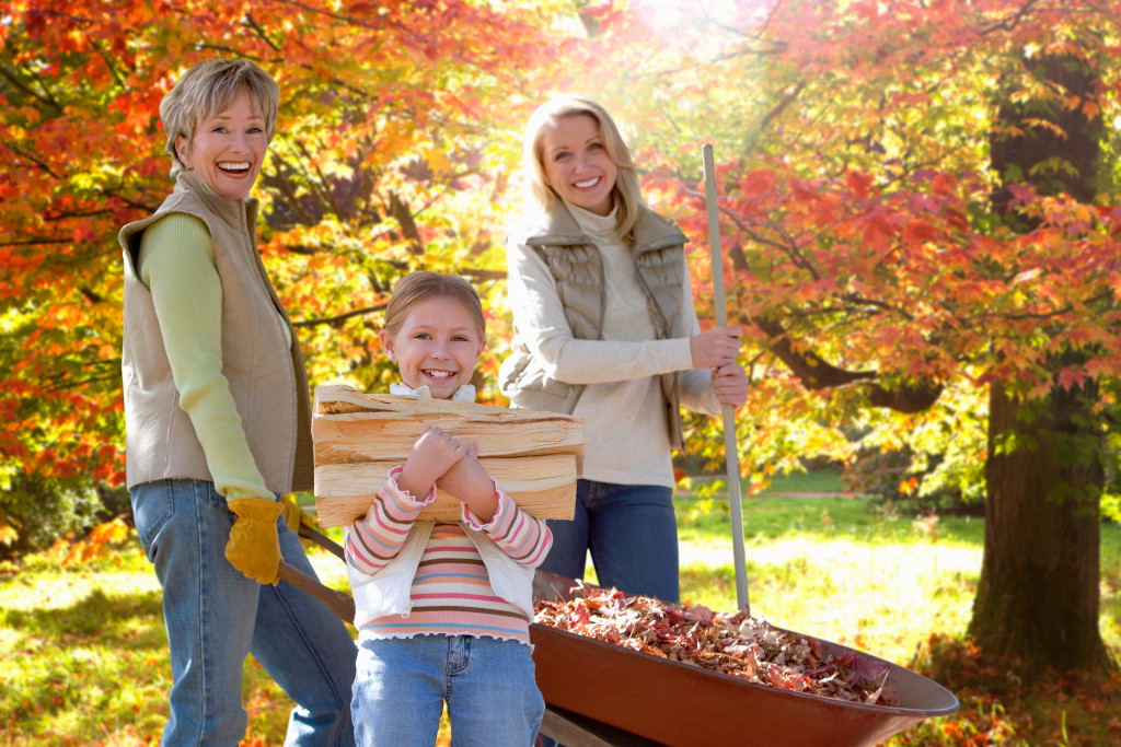 Creating Visual Allure in Your Yard